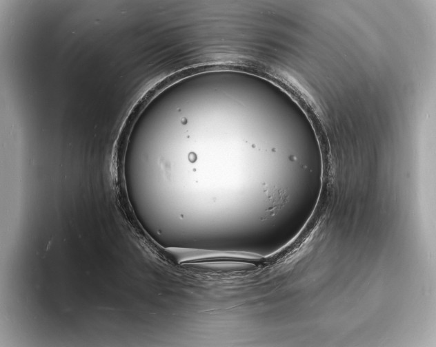 X0000093720883200710161056