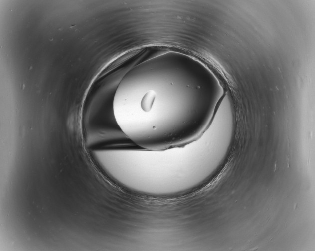 X0000093720884200710161056
