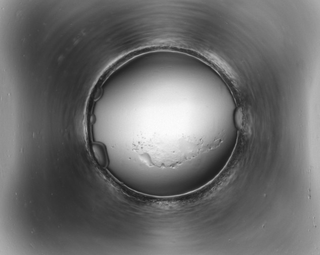 X0000093720888200710161056