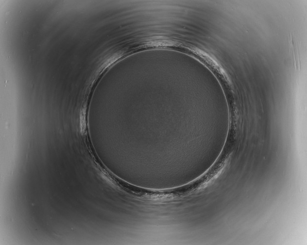 X0000093720889200710161056