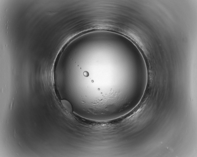 X0000093720891200710161056