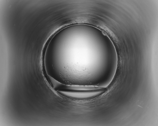 X0000093720894200710161056