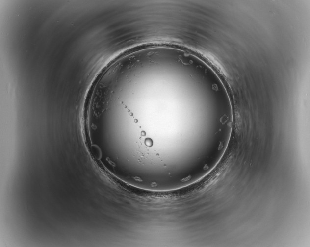 X0000093720895200710161056