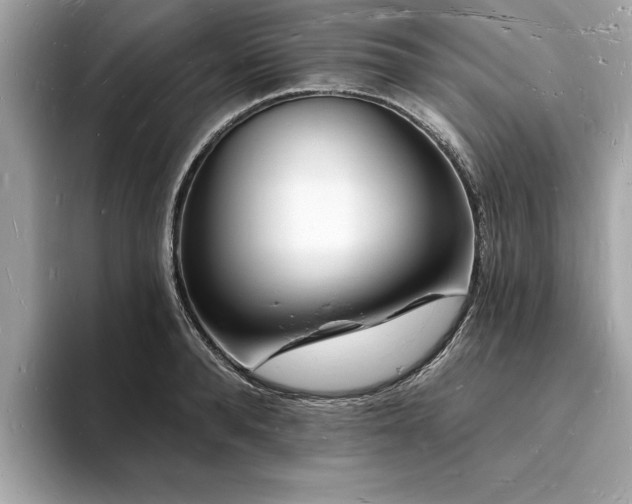 X0000093720896200710161056