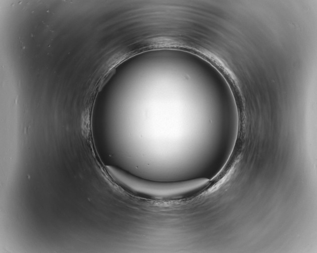 X0000093720897200710161056