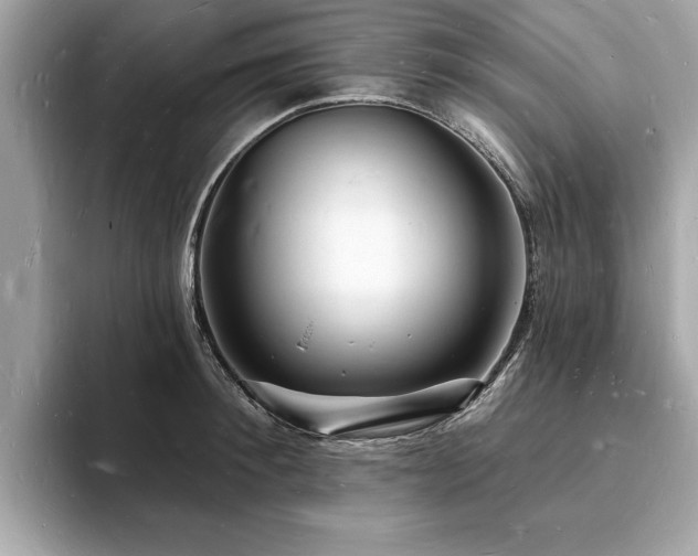 X0000093720900200710161056