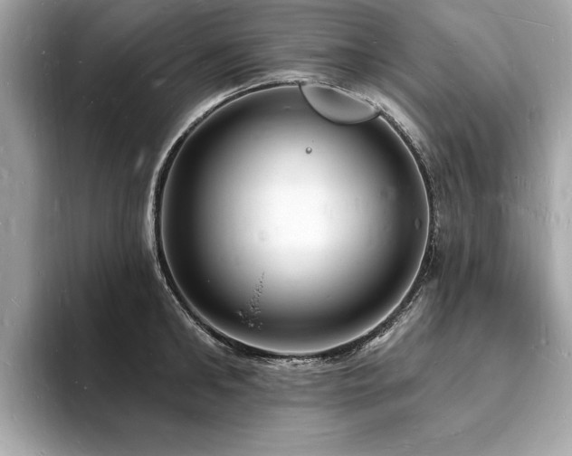 X0000093720902200710161056