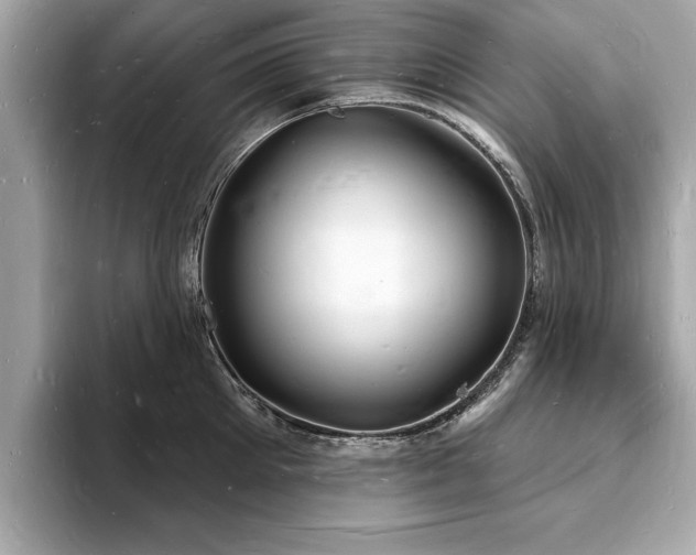 X0000093720905200710161056