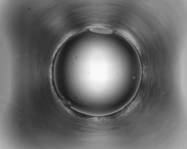 X0000093720906200710161056