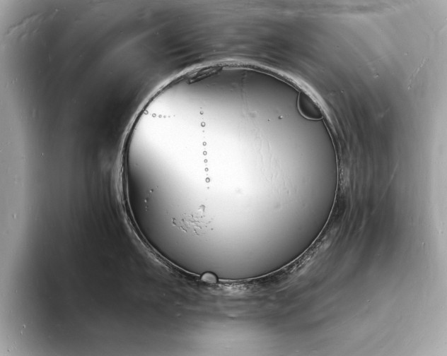 X0000093720911200710161056