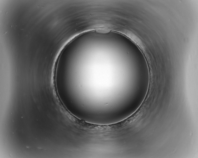 X0000093720912200710161056