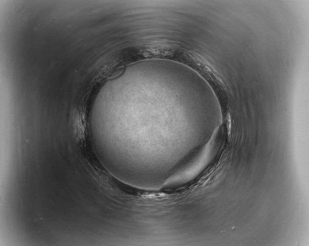 X0000093720915200710161055