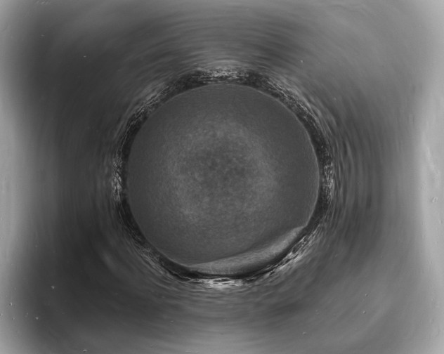 X0000093720916200710161055