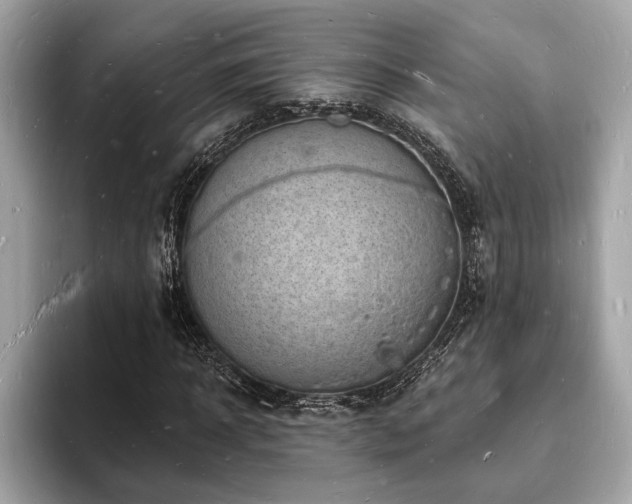 X0000093720918200710161055
