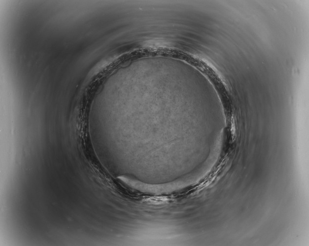 X0000093720919200710161055