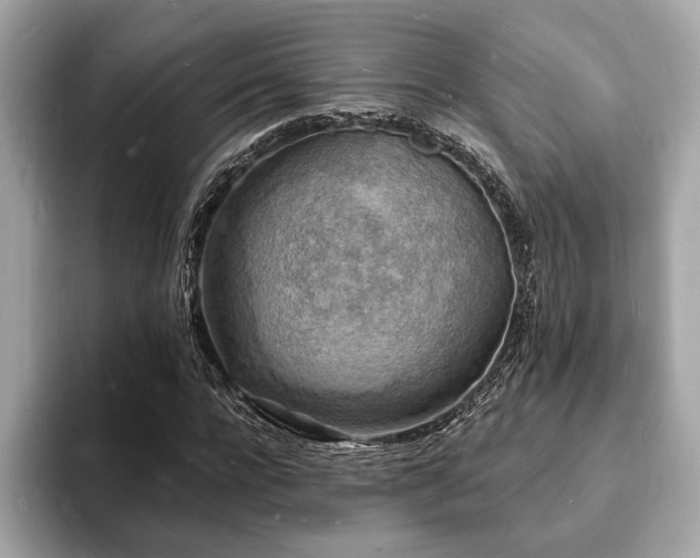 X0000093720920200710161055