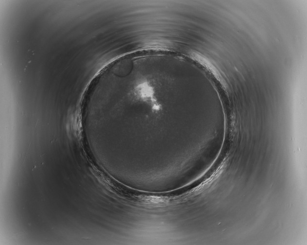 X0000093720923200710161055