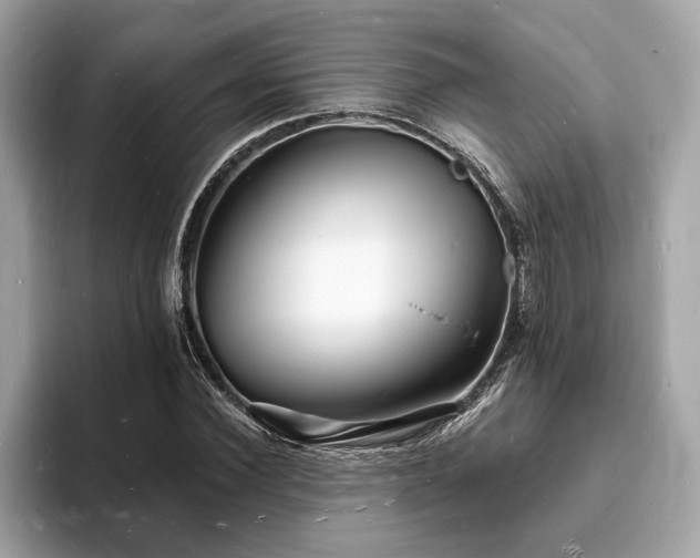 X0000093720924200710161055