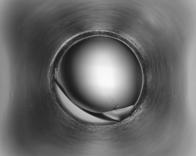 X0000093720926200710161056