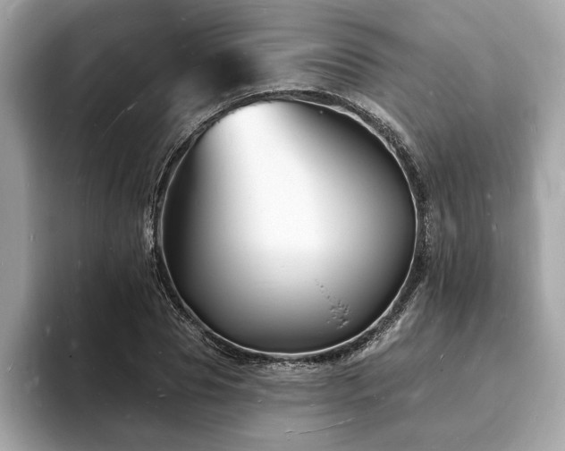 X0000093720929200710161056
