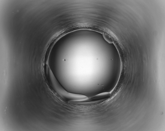 X0000093720930200710161056