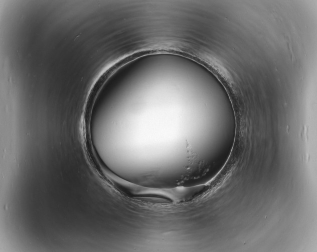 X0000093720936200710161056