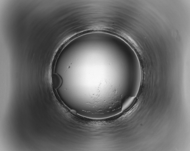 X0000093720939200710161056