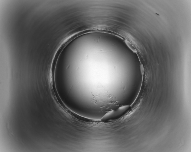 X0000093720940200710161056