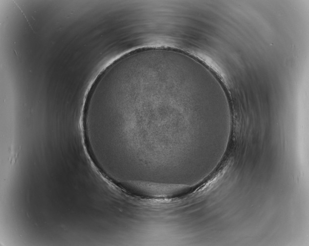X0000093720943200710161056