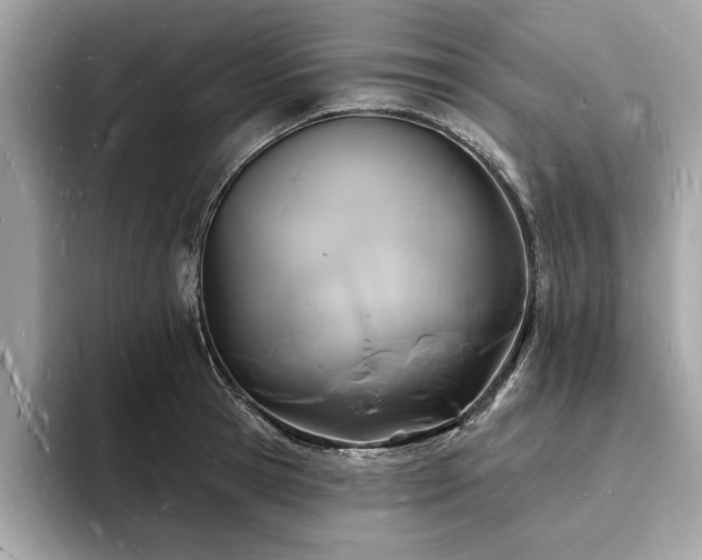 X0000093720945200710161056