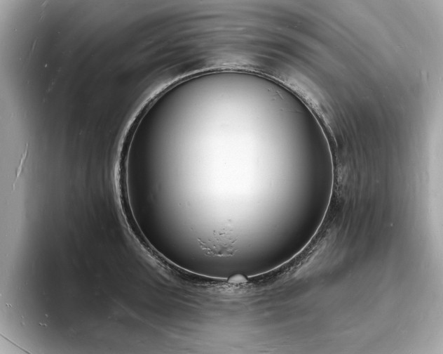 X0000093720947200710161056