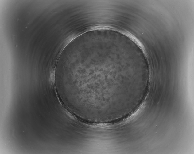 X0000093720953200710161056