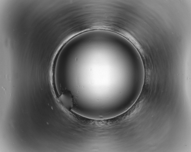 X0000093720955200710161056