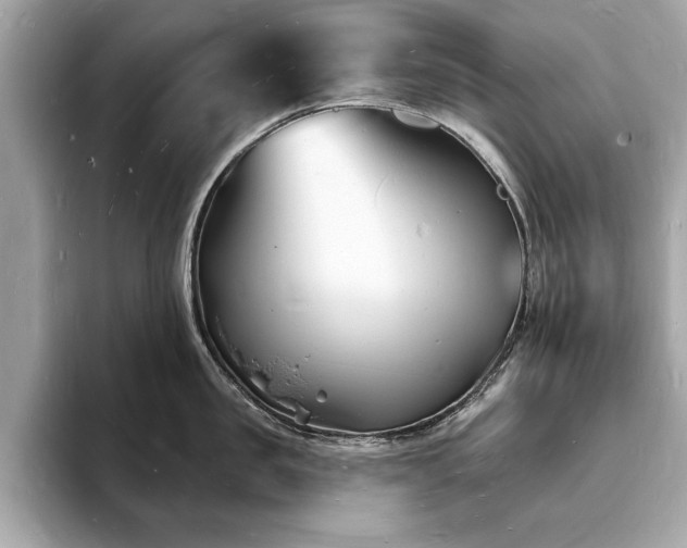 X0000093720957200710161056