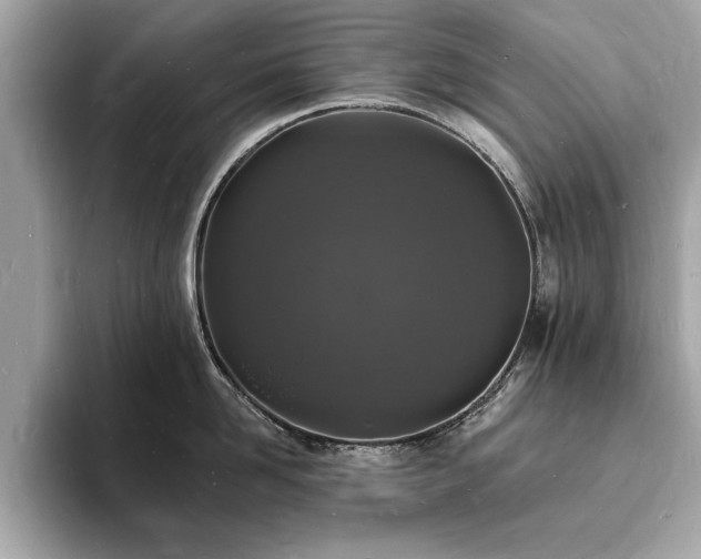 X0000093720958200710161056