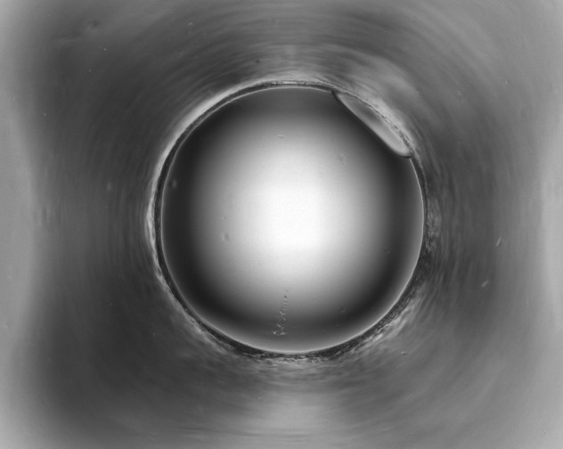 X0000093720959200710161056