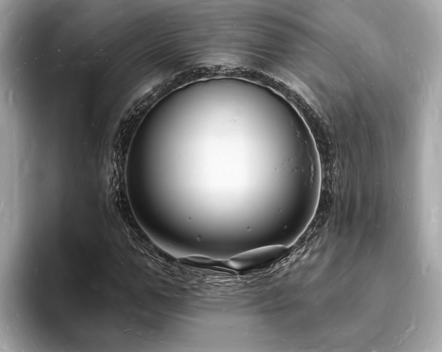 X0000093720967200710161055