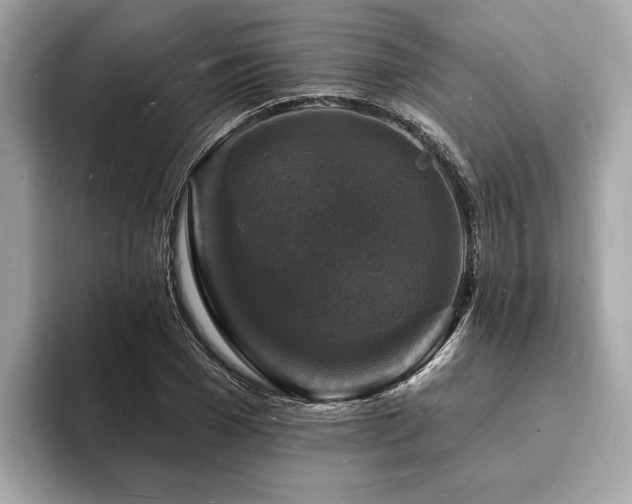 X0000093720977200710161055