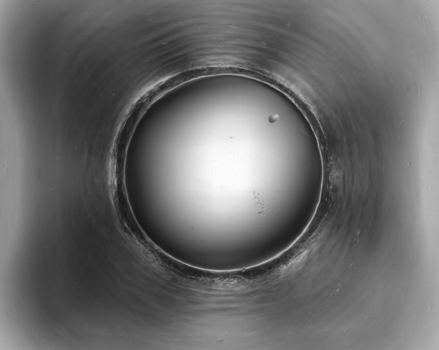 X0000093720979200710161055