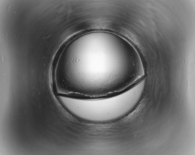 X0000093720984200710161055