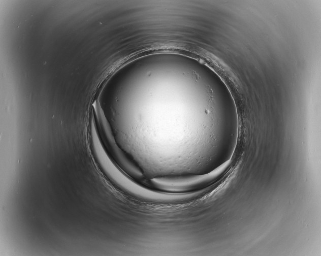 X0000093720985200710161055