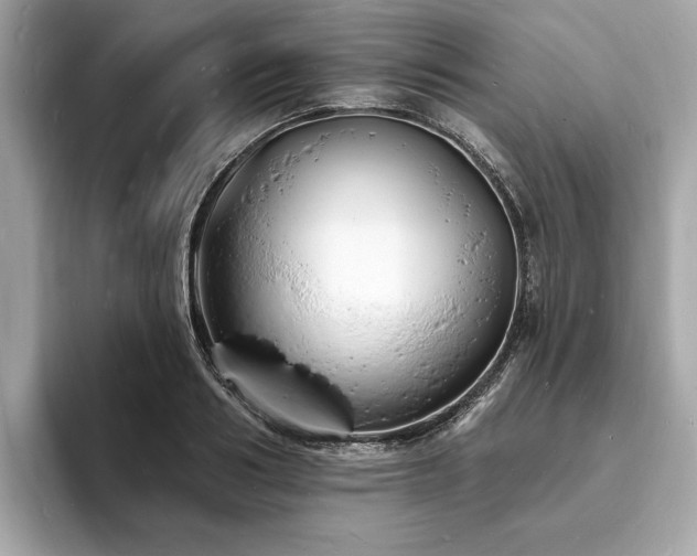 X0000093720986200710161055