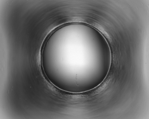 X0000093720988200710161055