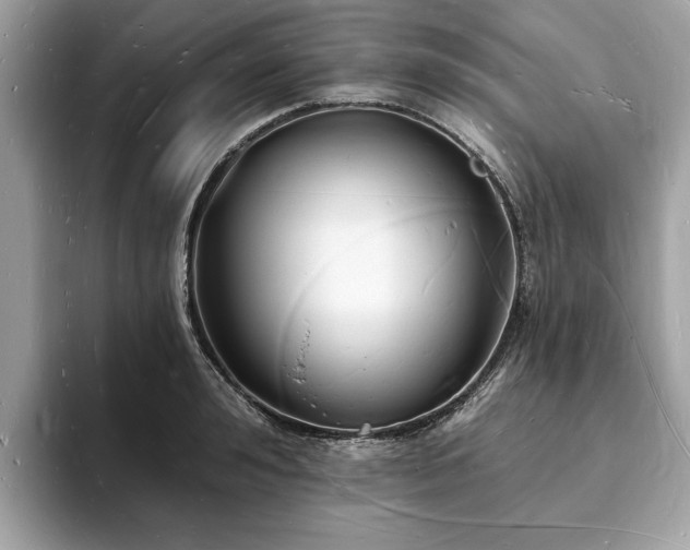 X0000093720992200710161055