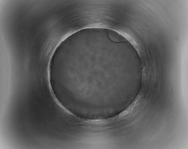 X0000093720998200710161055