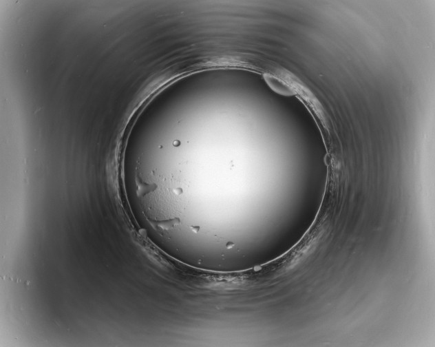 X0000093721002200710161055