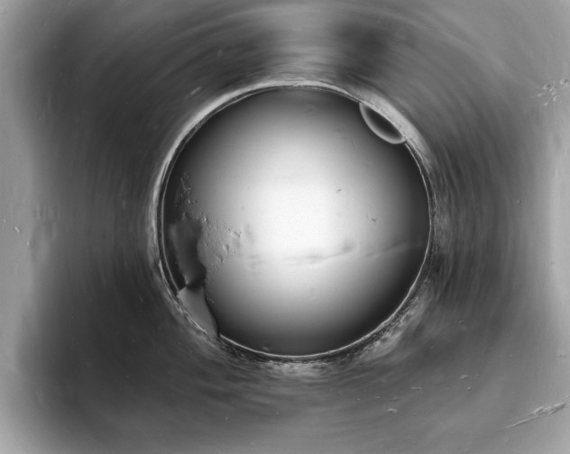 X0000093721004200710161055