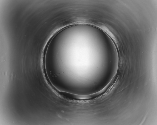 X0000093721005200710161055
