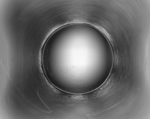 X0000093721006200710161055