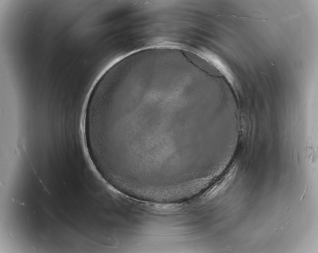 X0000093721007200710161055
